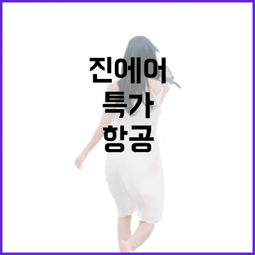 진에어항공특가 잡는 방법, 공항 이동까지 덜 헤매려면 이렇게 보세요 - 요약