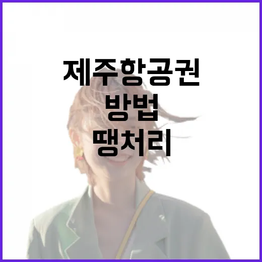 제주항공권땡처리 잡는 방법, 출발지부터 이동 동선까지 이렇게 보면 덜 헤맵니다 - 요약