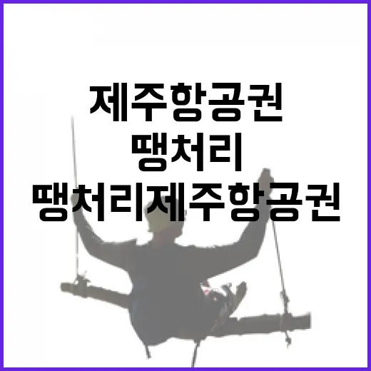 땡처리제주항공권 싸게 잡는 방법, 공항 동선까지 초보자도 안 헤매게 - 요약