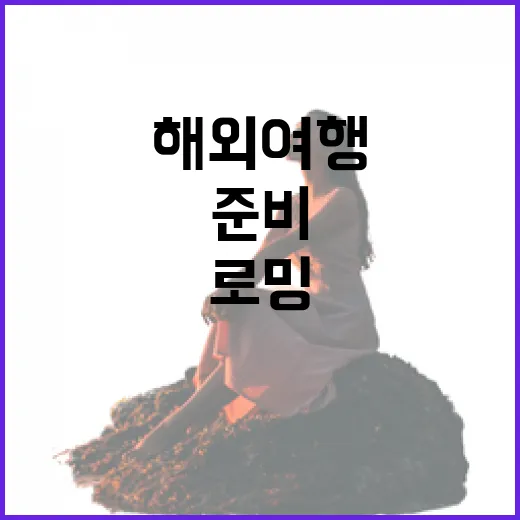 해외여행로밍 처음 설정하려면 이렇게 준비하면 덜 헤맵니다 - 요약