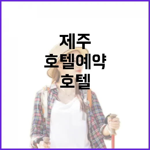 제주호텔예약 처음이라면 이렇게 고르면 덜 헤맵니다 - 요약