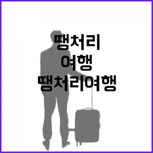 땡처리여행으로 급하게 떠나려면 이렇게 확인하세요 - 요약