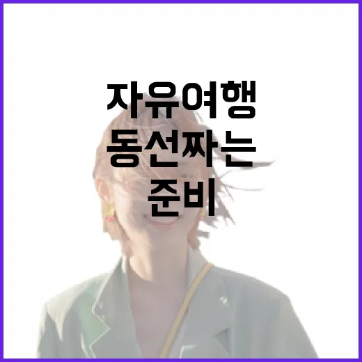 자유여행 동선 짜는 방법, 길치도 덜 헤매려면 이렇게 준비하세요 - 요약
