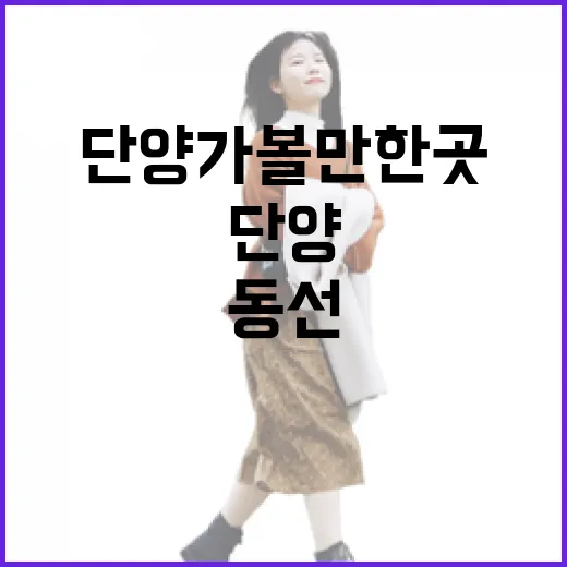 단양 가볼만한곳 처음 가려면 이렇게 동선 잡는 방법 - 요약