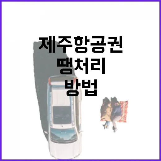 땡처리제주항공권 잡는 방법, 공항 동선까지 덜 헤매게 준비하려면 이렇게 - 요약