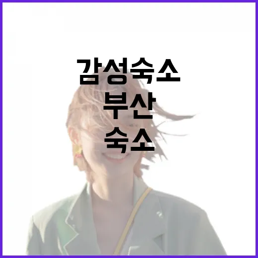 부산감성숙소 고르는 방법, 동선까지 편하게 잡으려면 이렇게 - 요약
