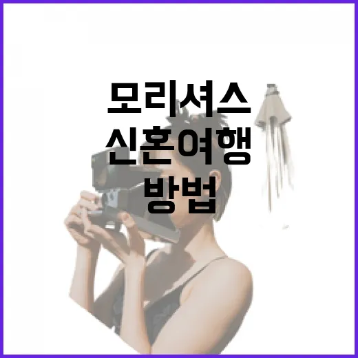 모리셔스신혼여행 가려면 이렇게 동선 잡는 방법 - 요약