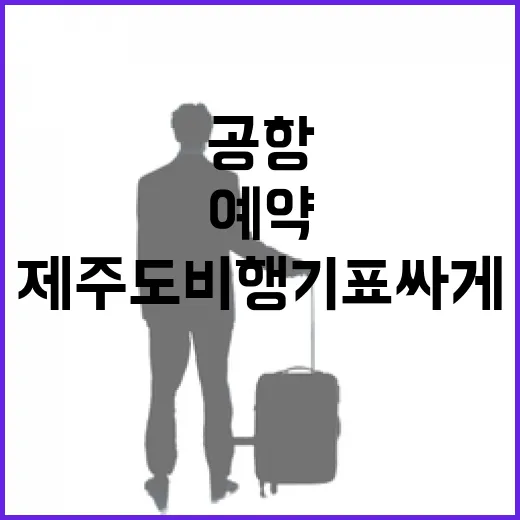 제주도비행기표 싸게 예약하는 방법, 공항까지 동선까지 이렇게 잡으면 편합니다 - 요약