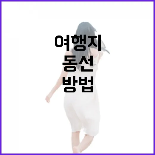 3월여행지 고르는 방법, 꽃 피는 순서대로 동선 짜면 덜 헤맵니다 - 요약