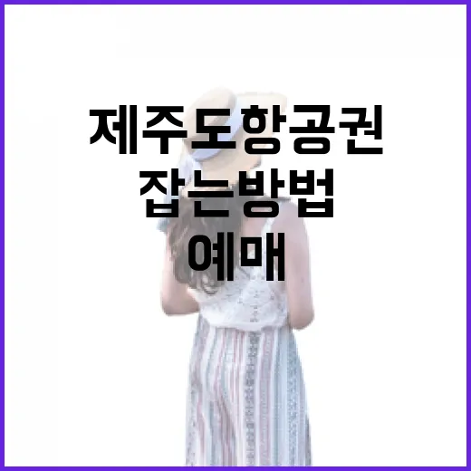 제주도항공권예매 초보자가 덜 헤매고 싸게 잡는 방법 - 요약