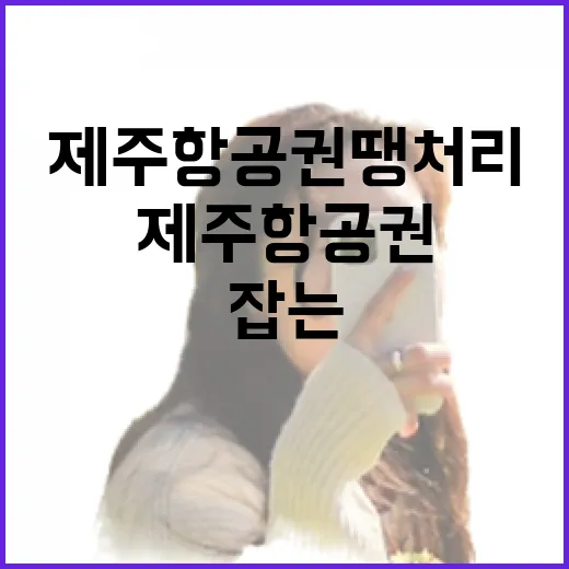 제주항공권땡처리 찾는 방법, 공항 동선까지 덜 헤매게 잡는 법 - 요약