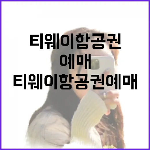 티웨이항공권 예매하려면 이렇게 확인하면 덜 헤맵니다 - 요약