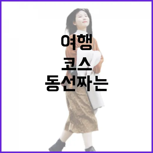 초보자를 위한 일본여행 동선 짜는 방법, 공항부터 숙소와 주변 코스까지 - 요약