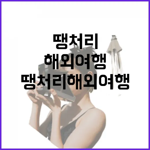 땡처리해외여행으로 떠나려면 이렇게 준비하는 방법 - 요약
