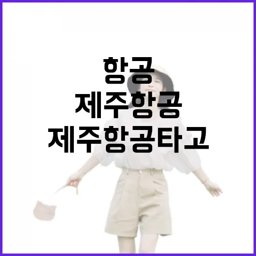 제주항공 타고 제주 가려면 이렇게 움직이면 덜 헤맵니다 - 요약