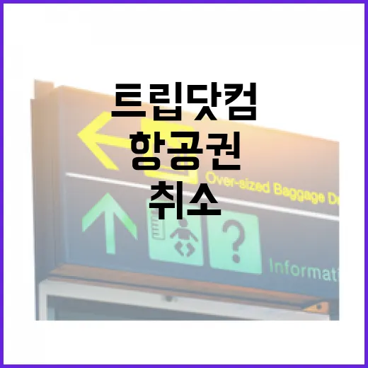 트립닷컴환불 받으려면 이렇게 확인하세요: 항공권·호텔 취소 전 체크 순서 - 요약