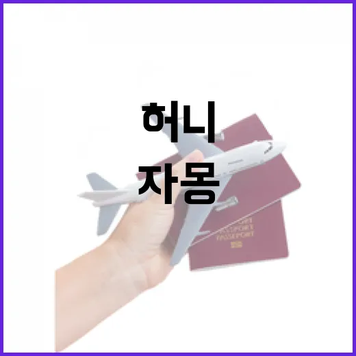 자몽허니에어로카노 마시러 가려면 이렇게 움직이면 편해요 - 요약