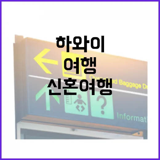 하와이신혼여행 동선 짜는 방법, 길치도 덜 헤매는 섬 선택과 이동 순서 - 요약