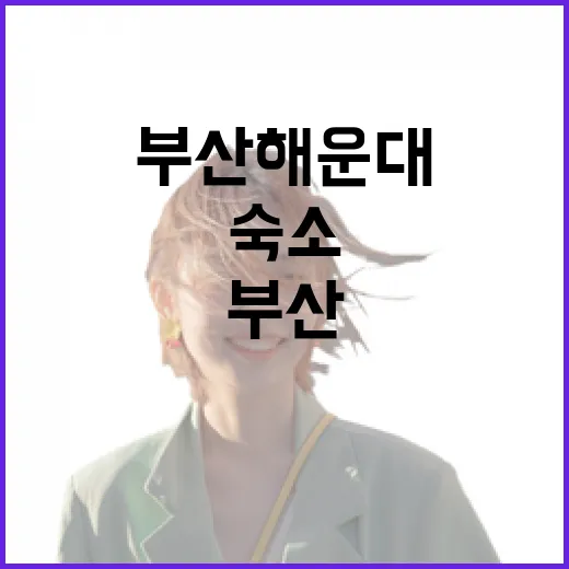 부산해운대숙소 고르는 방법, 해운대역부터 달맞이까지 동선별로 이렇게 잡으면 편해요 - 요약