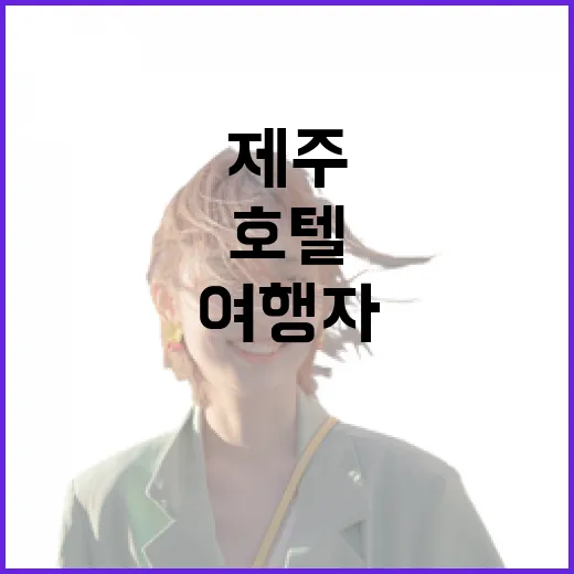 제주호텔 위치 고르는 방법, 초보 여행자는 동선부터 이렇게 잡으면 편합니다 - 요약