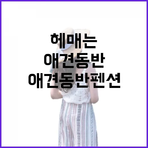 애견동반펜션 고르는 방법, 길치도 덜 헤매는 위치 확인 순서 - 요약