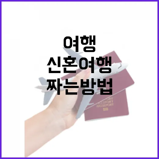 신혼여행 동선 짜는 방법, 길치도 덜 헤매려면 이렇게 - 요약