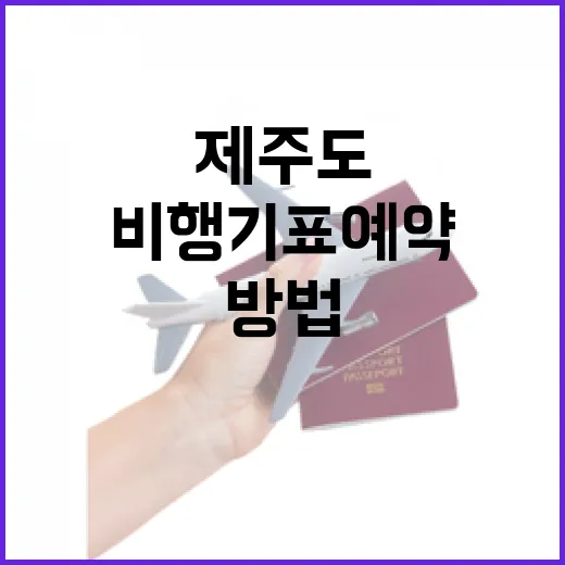 제주도비행기표예약 처음이라면 이렇게 잡는 방법 - 요약