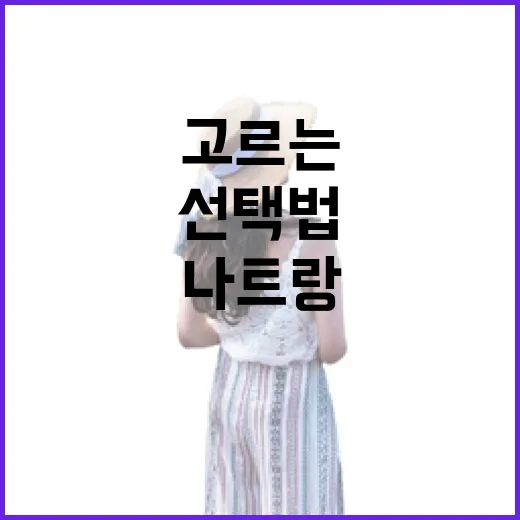 나트랑숙소 고르는 방법: 초보자도 안 헤매는 위치별 선택법 - 요약