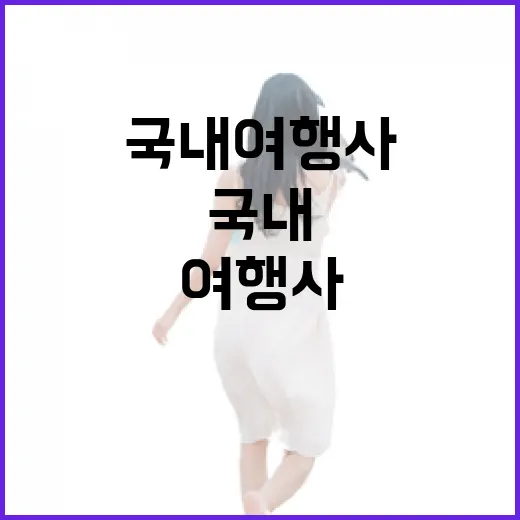 국내여행사 고르는 방법, 길치도 덜 헤매는 일정으로 예약하려면 이렇게 - 요약