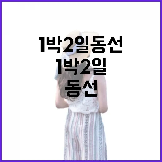 강원도여행지 고르는 방법: 길치도 덜 헤매는 1박 2일 동선 짜기 - 요약