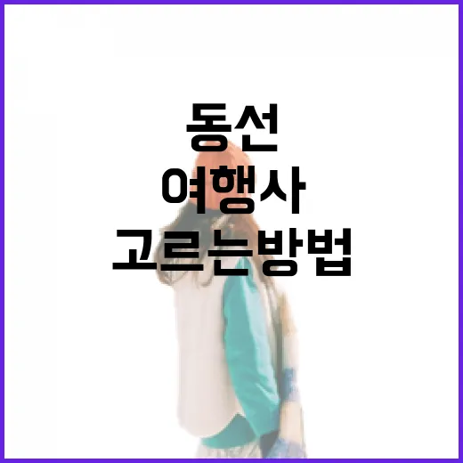 여행사추천 제대로 고르는 방법, 초보자도 동선까지 편하게 준비하려면 이렇게 - 요약