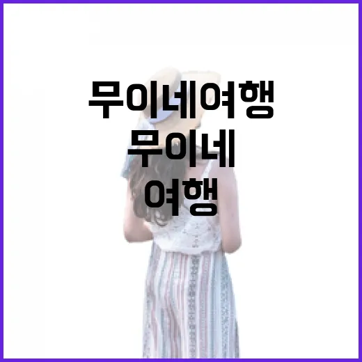 무이네여행 처음 가려면 이렇게 움직이면 덜 헤맵니다 - 요약