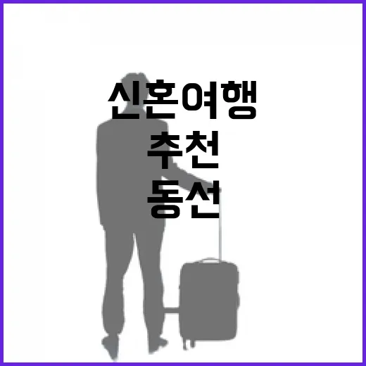 신혼여행추천 고르는 방법: 길치도 덜 헤매는 동선 기준 - 요약