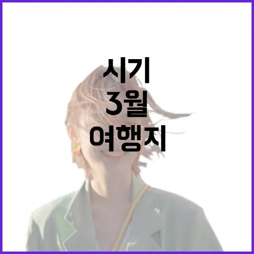 3월여행지 고르는 방법, 꽃 피는 시기와 이동 동선까지 이렇게 잡으세요 - 요약