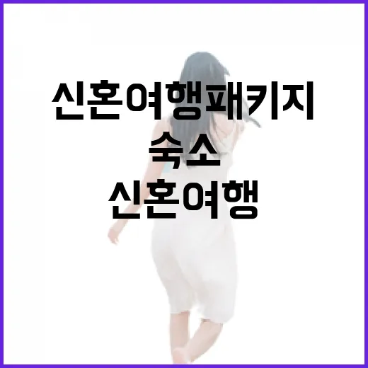 신혼여행패키지 고르는 방법, 공항 동선부터 숙소 위치까지 이렇게 보면 덜 헤맵니다 - 요약