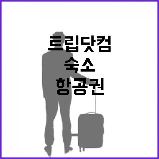 트립닷컴으로 항공권·숙소 예약하고 현지 이동까지 잡는 방법 - 요약