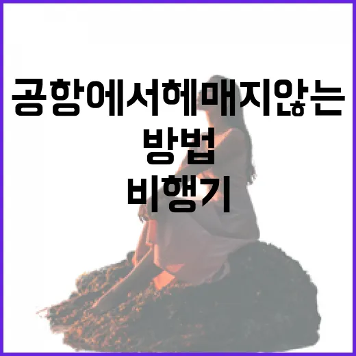 비행기 처음 탈 때 공항에서 헤매지 않는 방법 - 요약