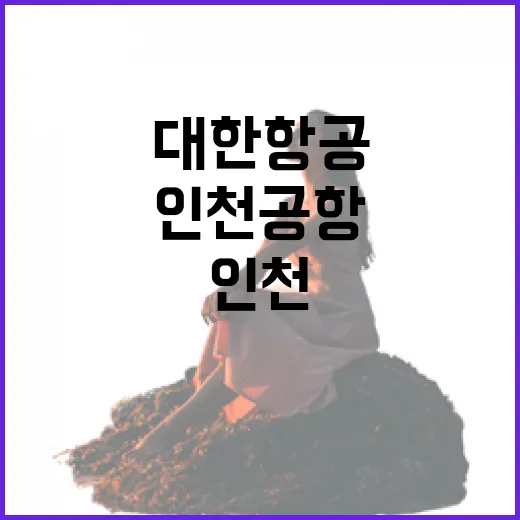대한항공 타고 인천공항 가려면 이렇게 움직이면 덜 헤맵니다 - 요약