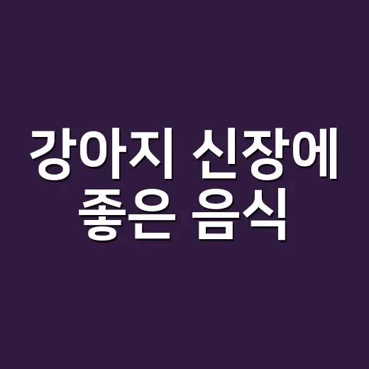 강아지 신장에 좋은 음식, 집에서 뭘 먹이면 괜찮을까요? - 요약