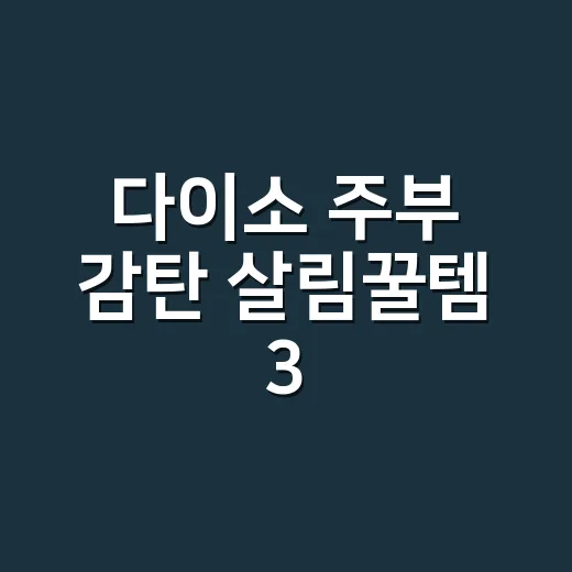 다이소 주부 감탄 살림꿀템 3, 정말 매일 쓰게 될까요? - 요약