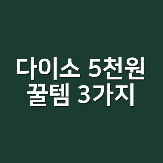 다이소 5천원 꿀템 3가지, 영양제 챙겨 드시는 분께 정말 필요할까요? - 요약