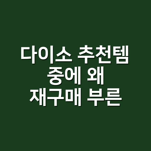 다이소 추천템 중에 왜 재구매 부른 꿀템은 따로 있을까요? - 요약
