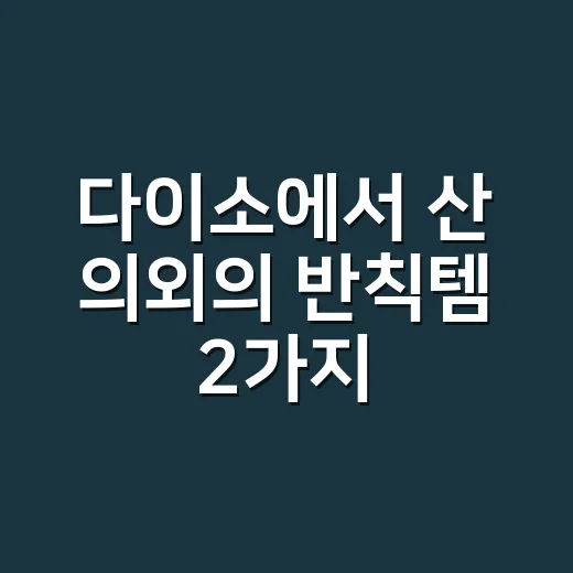 다이소에서 산 의외의 반칙템 2가지, 영양제 먹을 때 정말 괜찮을까요? - 요약