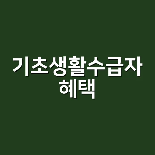 기초생활수급자 혜택, 생계비 말고도 놓치는 게 많으신가요? - 요약