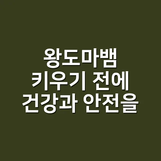 왕도마뱀 키우기 전에 건강과 안전을 먼저 확인하고 계신가요? - 요약
