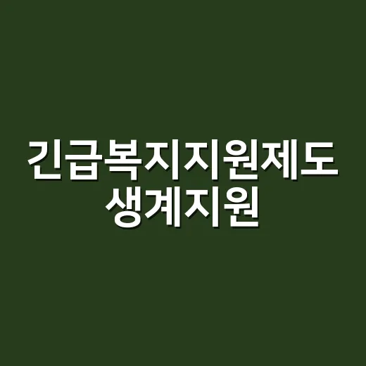 긴급복지지원제도 생계지원, 갑자기 생활비가 막혔을 때 받을 수 있을까요? - 요약