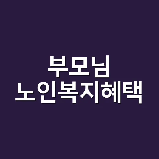 부모님 노인복지혜택, 기초연금만 확인하고 계신가요? - 요약