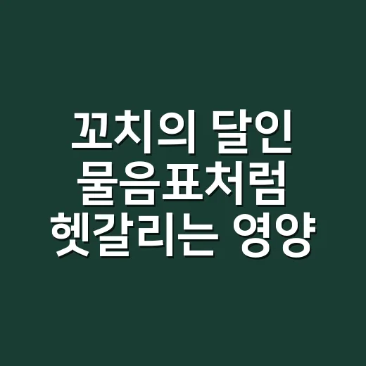 꼬치의 달인 물음표처럼 헷갈리는 영양제 조합, 같이 먹어도 될까요? - 요약