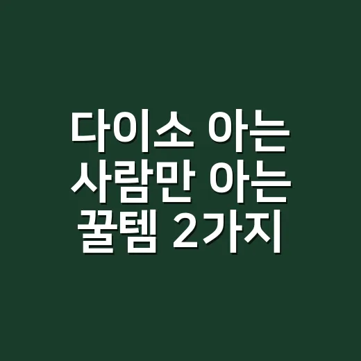 다이소 아는 사람만…