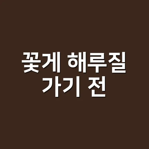꽃게 해루질 가기 전, 금어기와 건강 주의점까지 확인하셨나요? - 요약